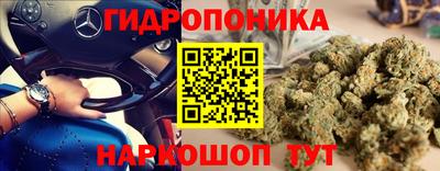 тгк Аргун