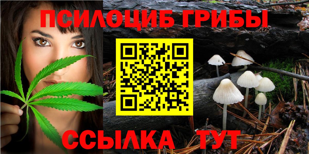Псилоцибиновые грибы Magic Shrooms Апшеронск