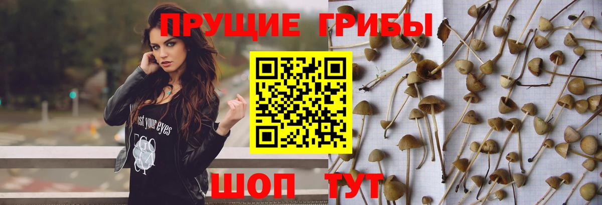 Апшеронск  Галлюциногенные грибы MAGIC MUSHROOMS  Вход с VPN 